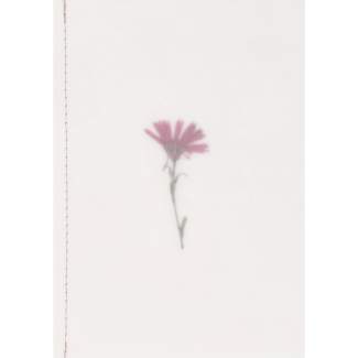 Genähte Transparentpapierkarte "Blumen" 
