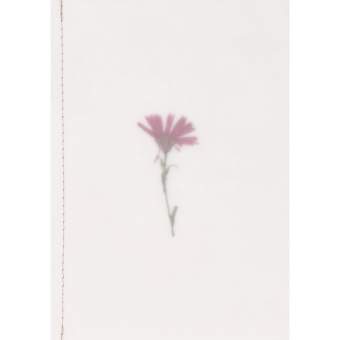 Genähte Transparentpapierkarte "Blumen" 