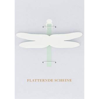 Geldgeschenke Karte "Flatternde Scheine" 