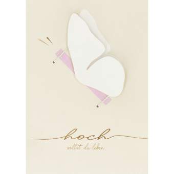 Geldgeschenke Karte "Hoch sollst du leben" 