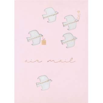 Naturwunderkarte "Air Mail" 