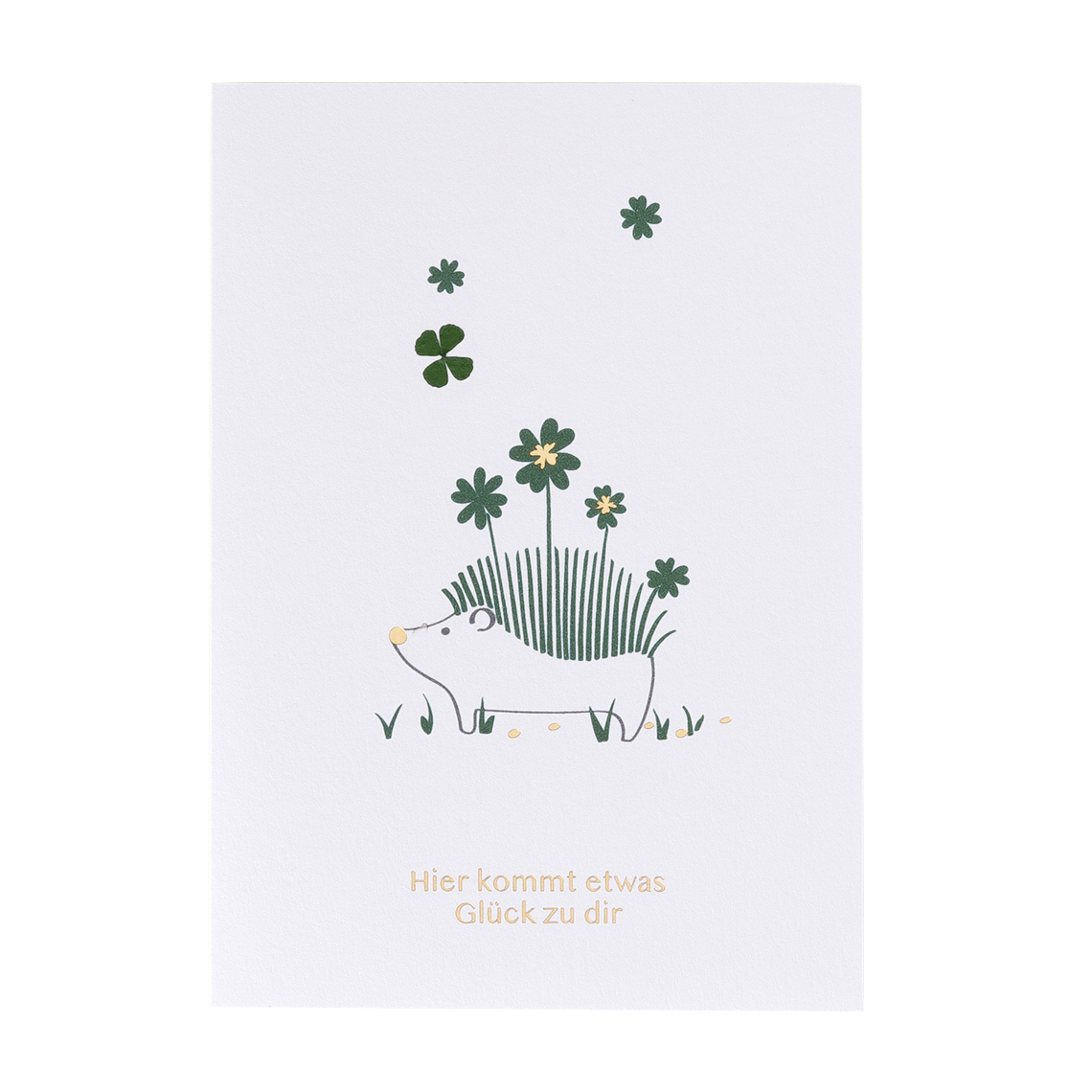 Glücksgeschichte Karte "Hier kommt etwas..." 