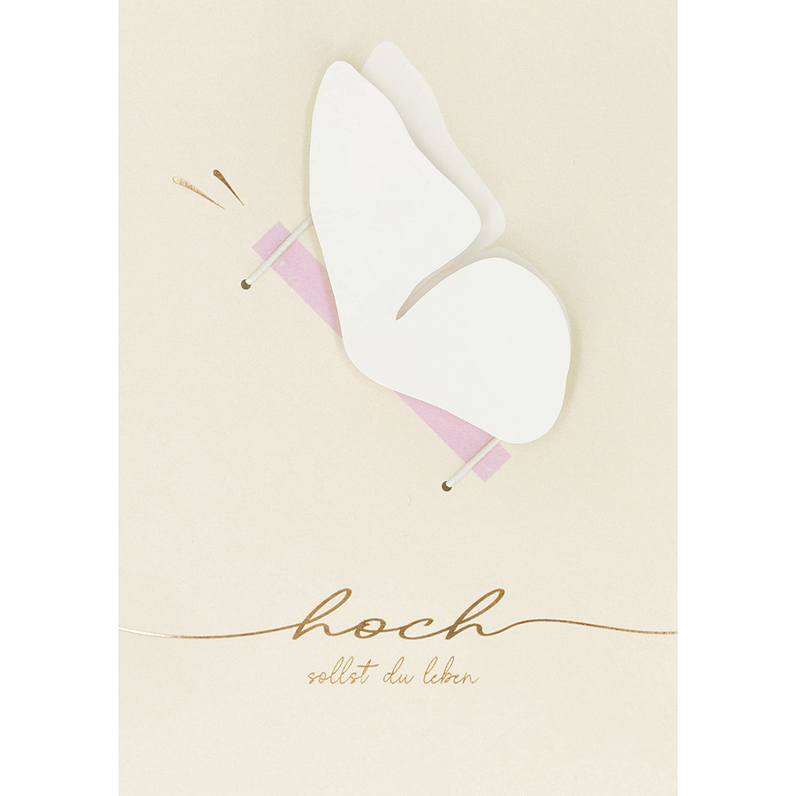 Geldgeschenke Karte "Hoch sollst du leben" 