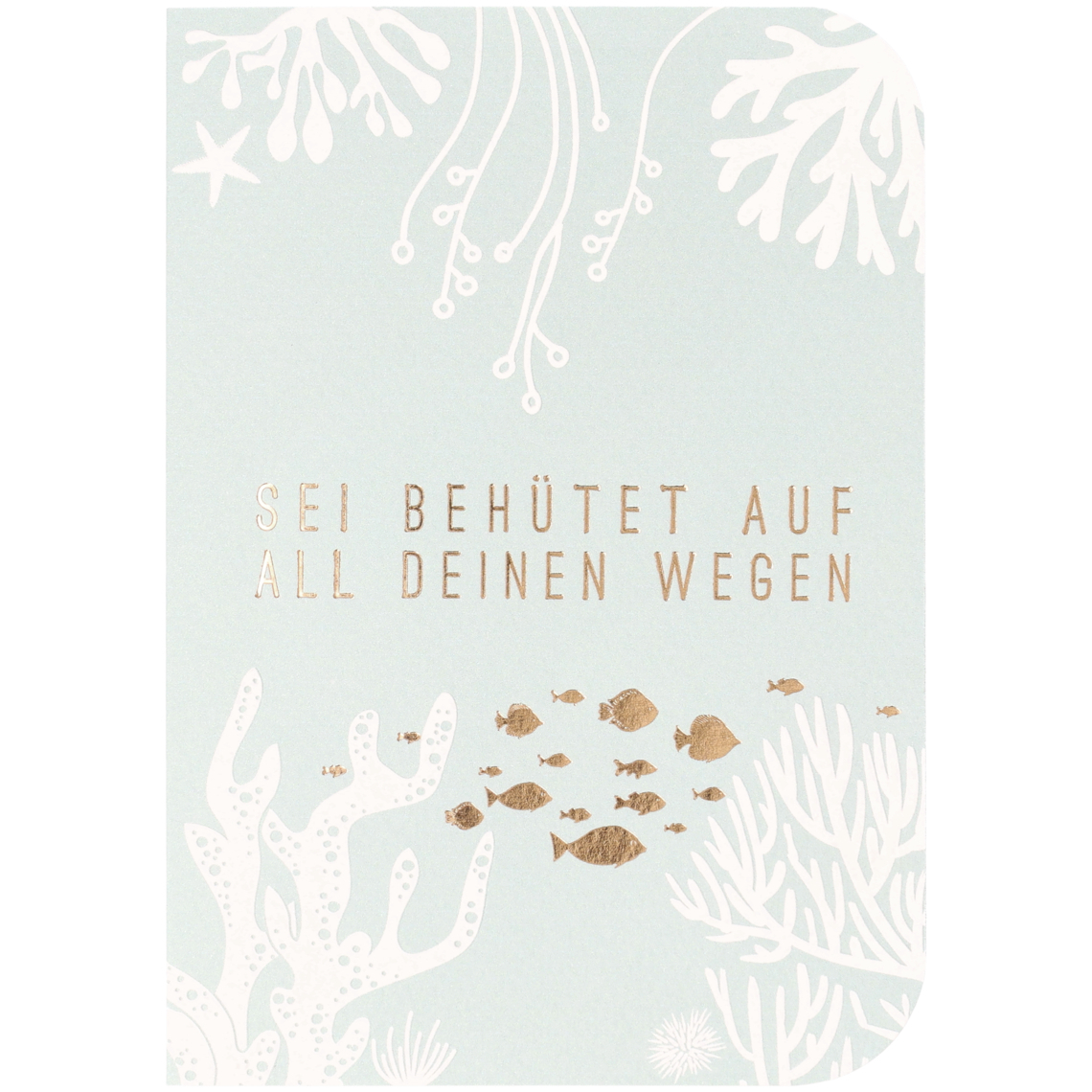 Unterwasserwelt. Taufkarte "Sei behütet auf all deinen Wegen" 