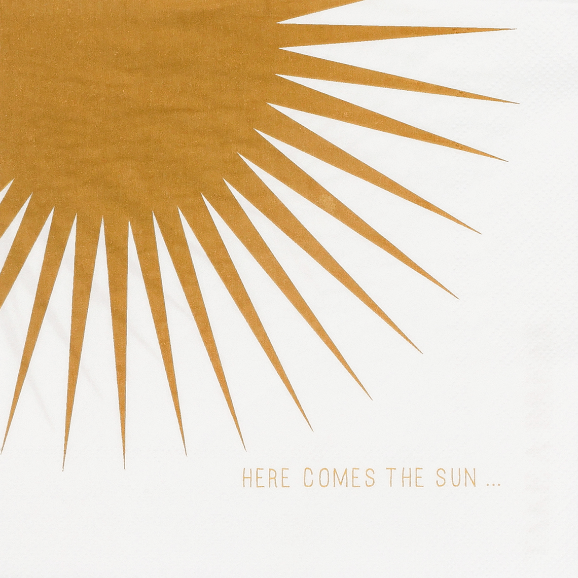 Lunchservietten "Take a break here comes the..." 