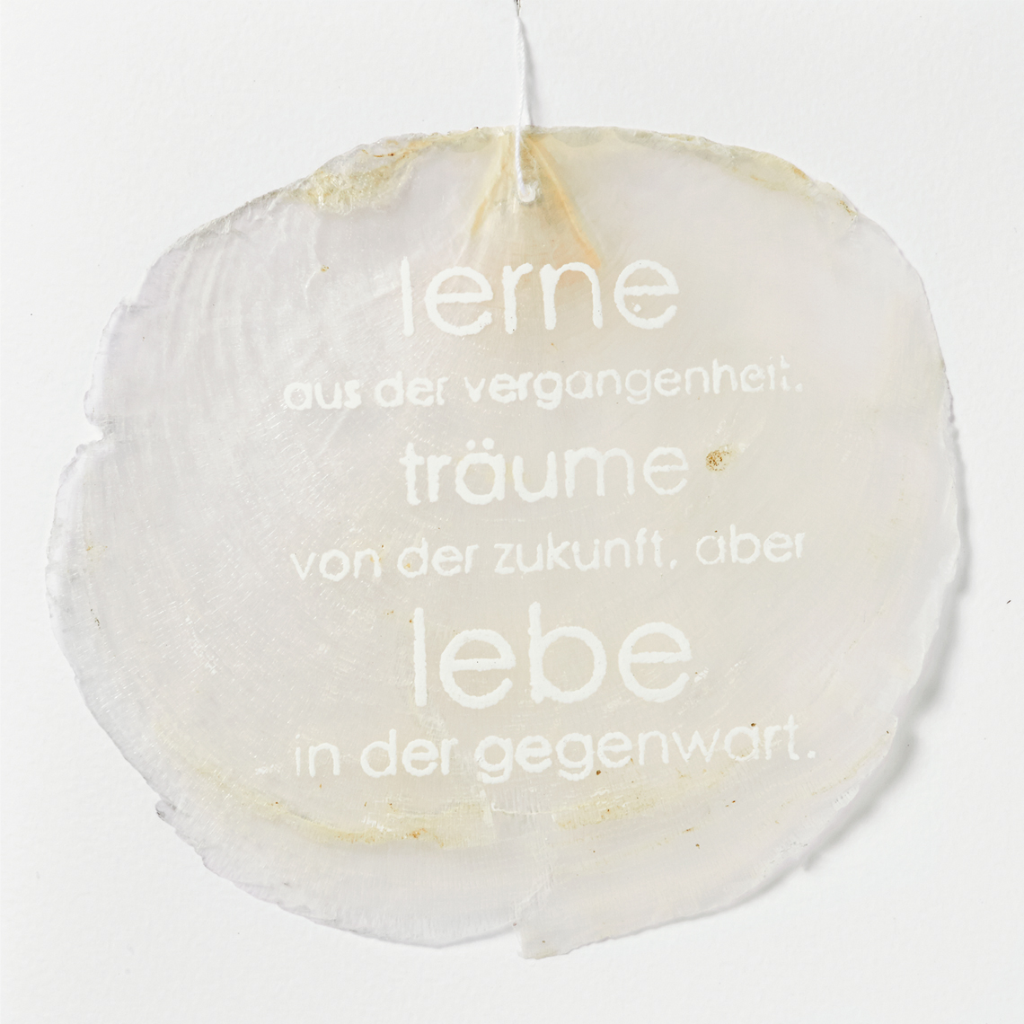 Get Lerne aus der vergangenheit HD Lerne Aus Der Vergangenheit